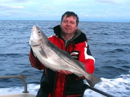 haddock 1.gif